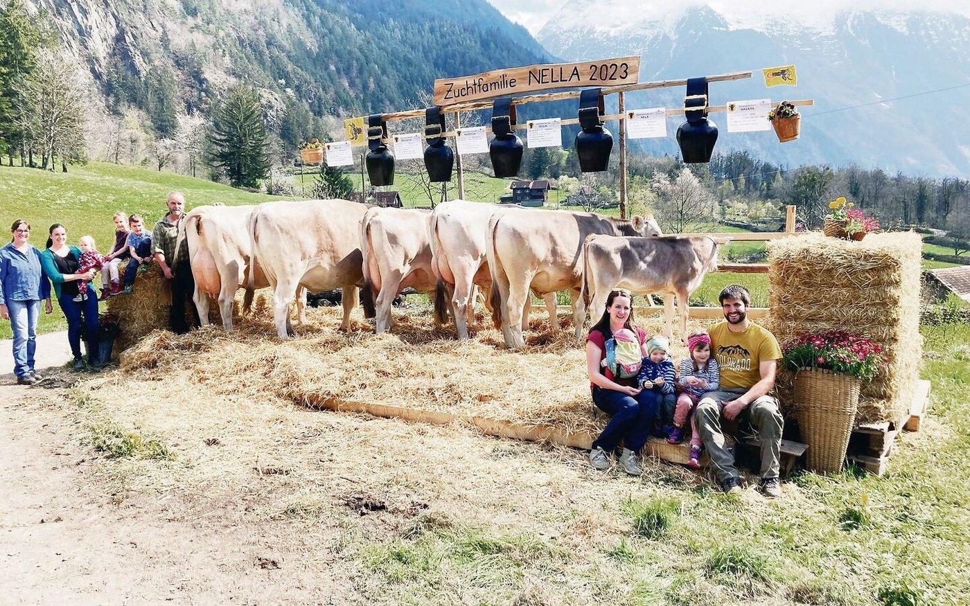 Zuchtfamilie Nella von der Familie Albert Gisler, Silenen.