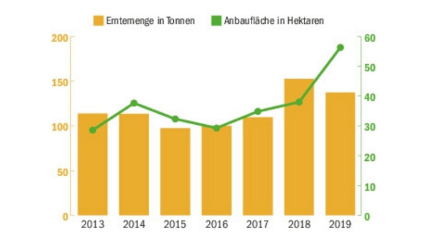 Gran Alpin beliefert unter anderen die Brauerei Locher in Appenzell mit Braugerste aus Schweizer Berggebieten. (Bild BauZ)