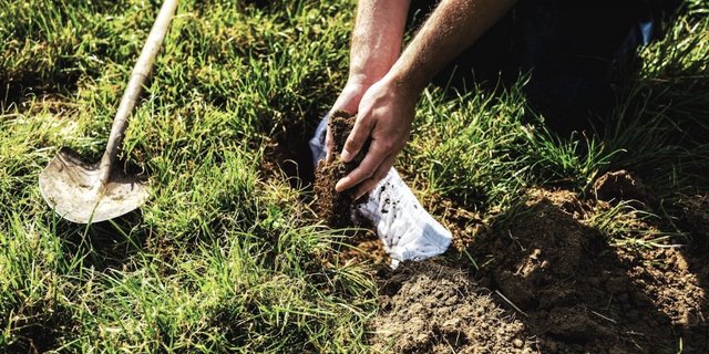 Einen passenden Flecken Erde auswählen, Unterhose vergraben und warten. So einfach gestaltet sich das Forschungsprojekt «Beweisstück Unterhose». Aussagekräftig können die Resultate auch ohne komplizierten Versuchsaufbau sein. (Bild Nicolas Zonvi)