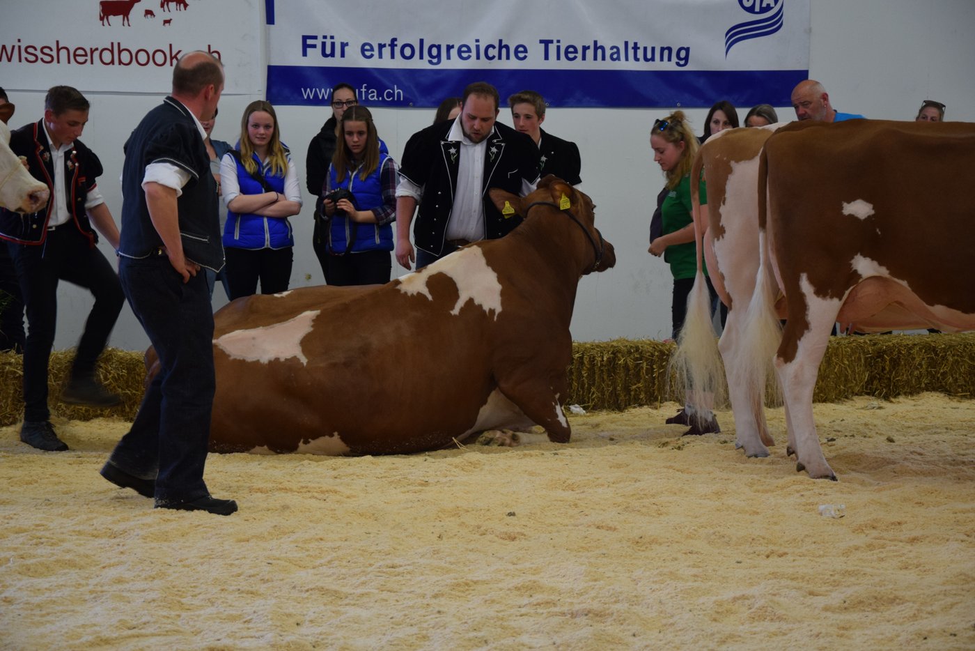 So eine Ausstellung macht müde.
