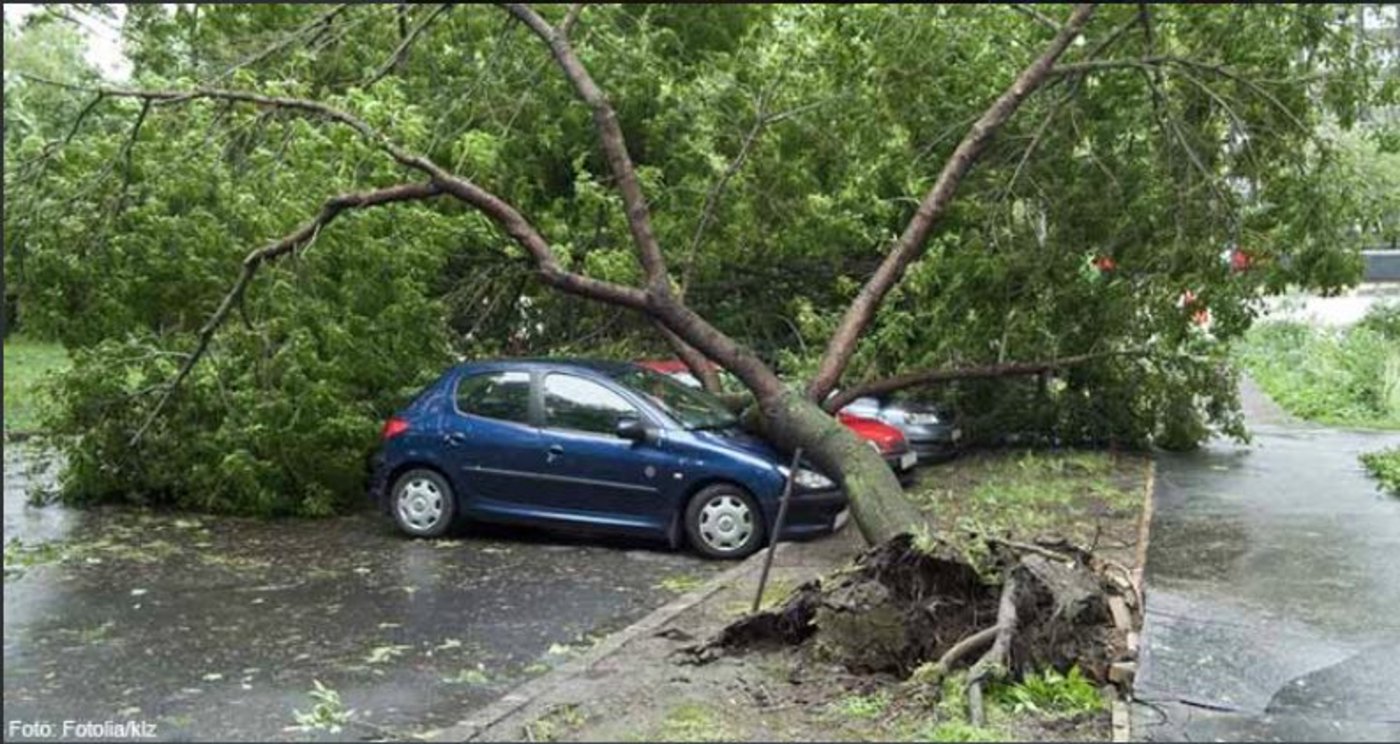 Vom Sturm beschädigtes Auto. (Bild ADAC)