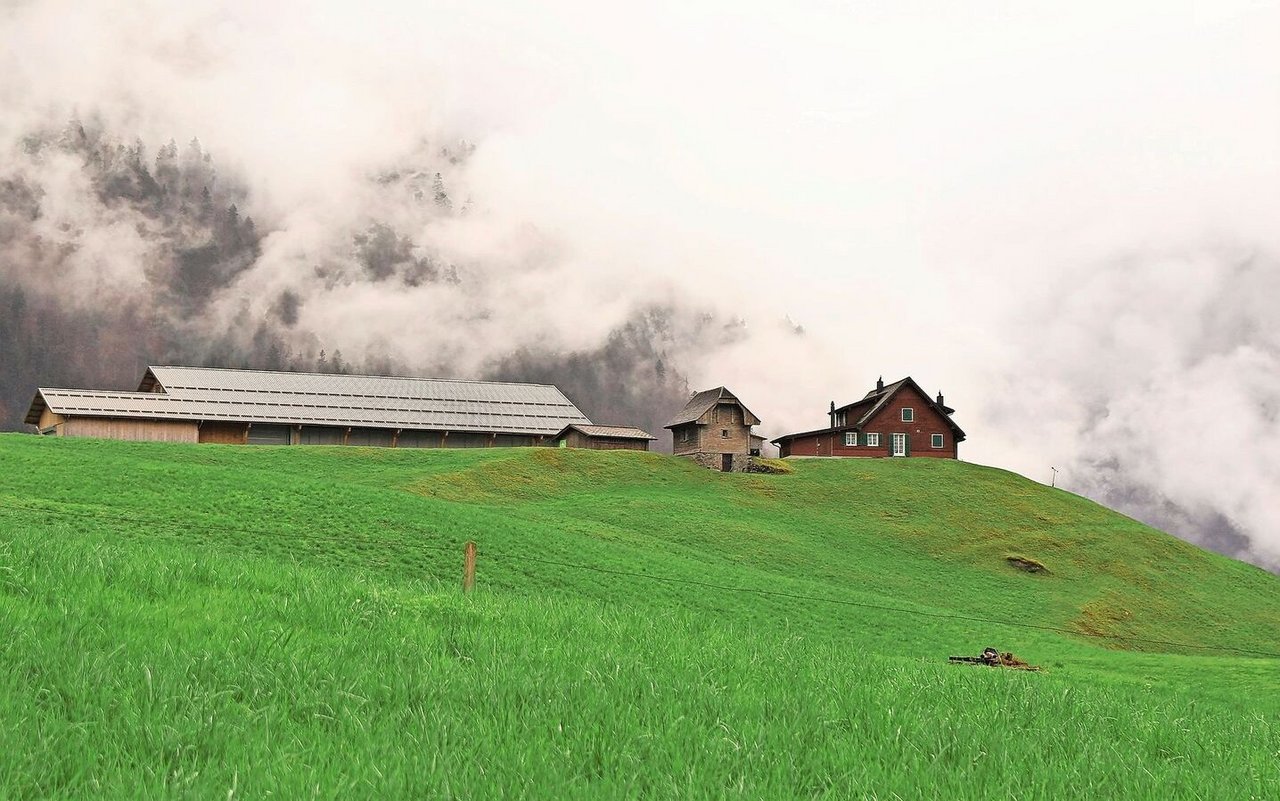 Auf 715 m ü. M. oberhalb des Engelbergertals liegt der Biohof Leimi der Familie Vreni und Willi Ambauen. 