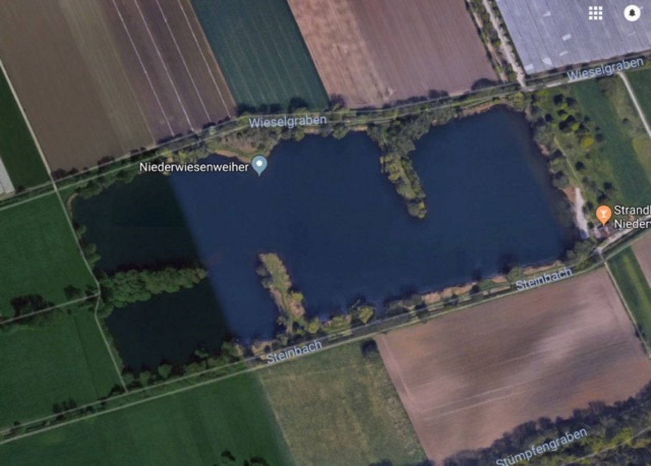 Die tödlichen Unfälle passierten am Niederwiesenweiher in Böhl-Iggelheim (D). (Bild Google Maps)