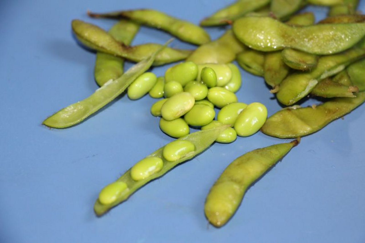 Edamame ist ein etwas anderer Snack. Die Kerne der Sojabohne können roh gegessen werden, wenn sie noch grün und weich sind.