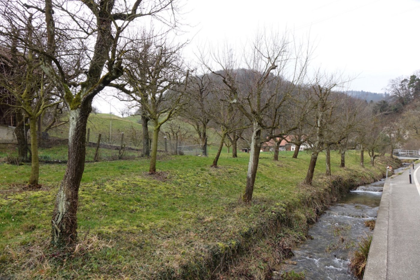 Die Plantage. (Bild zVg)