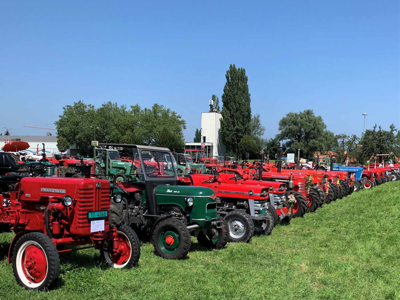 Die Farbe rot dominiert auf dem Feld.