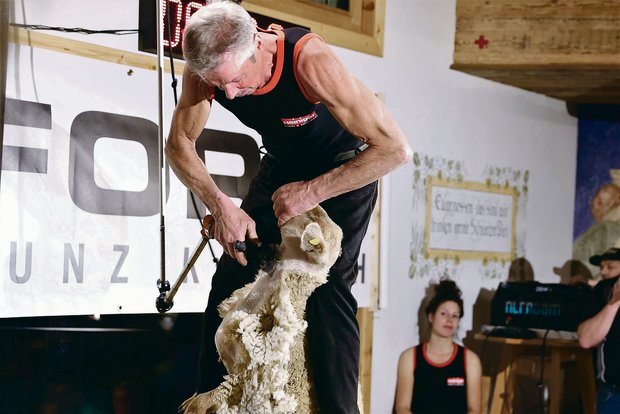 Schafscheren hält fit: Der 67-jährige Armin Hegglin aus Oberrüti am Wettkampf in Oberarth.(Bilder Reto Betschart)