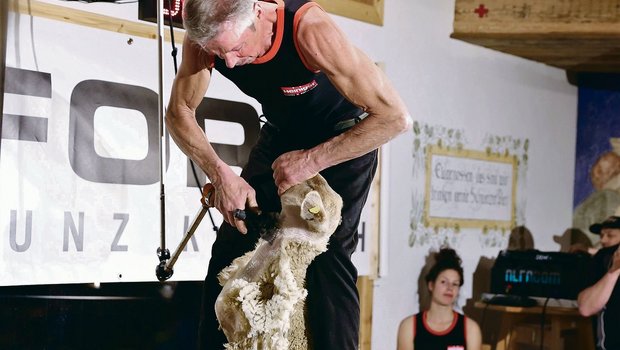 Schafscheren hält fit: Der 67-jährige Armin Hegglin aus Oberrüti am Wettkampf in Oberarth.(Bilder Reto Betschart)
