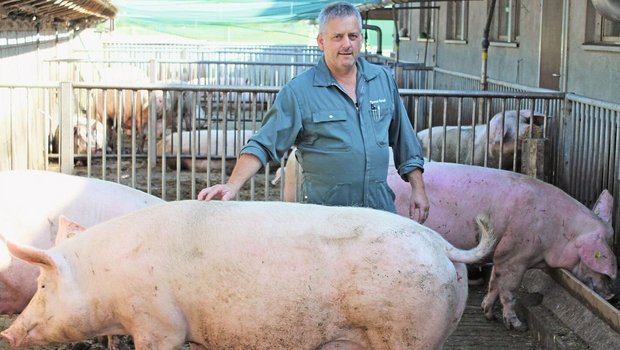 Thomas Kempf hält auf seinem Betrieb 150 Mutterschweine, sowie 578 Mastschweine. Der Landwirt macht sich viele Gedanken über ASP.