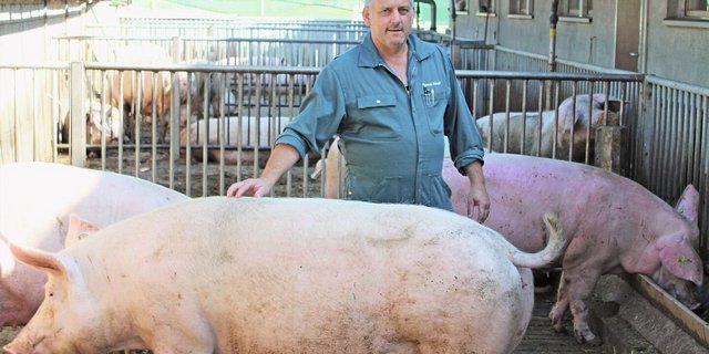 Thomas Kempf hält auf seinem Betrieb 150 Mutterschweine, sowie 578 Mastschweine. Der Landwirt macht sich viele Gedanken über ASP.