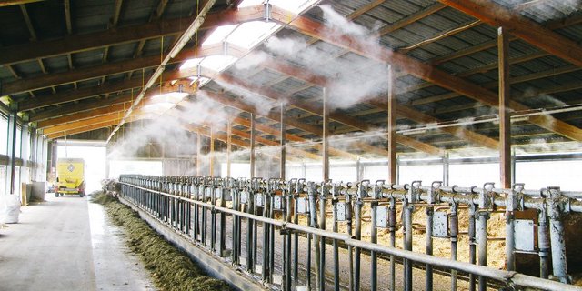 Der Nebel kühlt die Luft, der Stall bleibt aber trocken.(Bild Globogal)