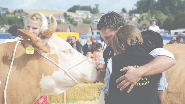 Das vermag Viehzucht zu bewirken: Philipp Hertig und Tochter Janine liegen sich ob dem Miss-Simmental-Titel ihrer Kuh Wonne weinend in den Armen. (Bild sb)