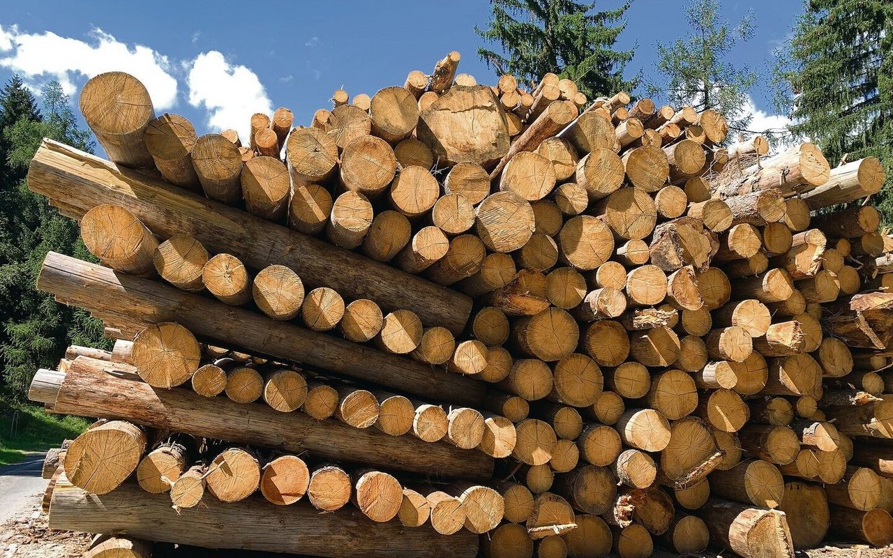 Eine der Massnahmen ist die Potenzialanalyse. Also, ob im Kanton noch mehr Holz nachhaltig geerntet werden kann. 