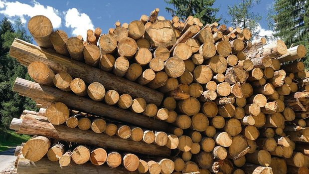 Eine der Massnahmen ist die Potenzialanalyse. Also, ob im Kanton noch mehr Holz nachhaltig geerntet werden kann. 