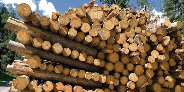 Eine der Massnahmen ist die Potenzialanalyse. Also, ob im Kanton noch mehr Holz nachhaltig geerntet werden kann. 