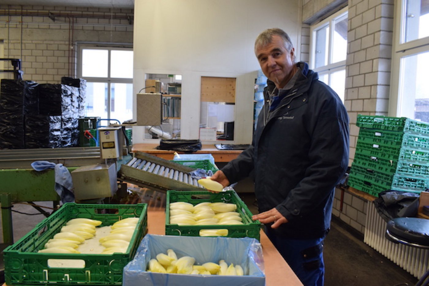 Der Zapfen ist bereit für die Verkaufsbox. 