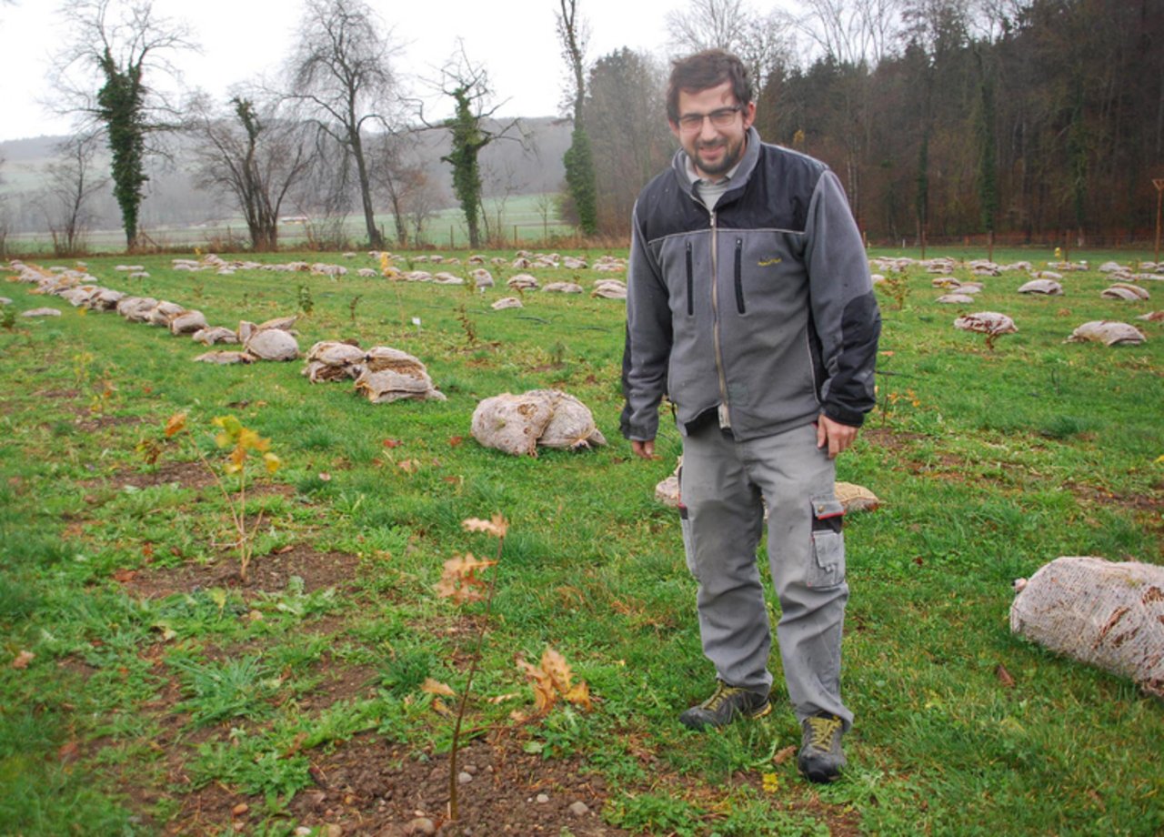 Trüffel statt Kuhmilch - bauernzeitung.ch | BauernZeitung