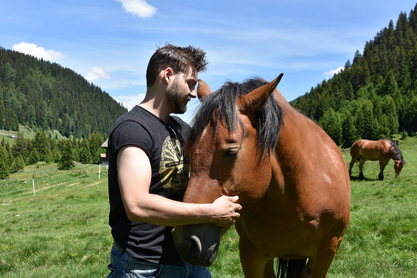 ario Hess auf der Pferdeweide seines Vaters im bündnerischen Rueras – Er kann sich vorstellen, den Betrieb einst zu übernehmen. (Bild Susi Rothmund)oö
