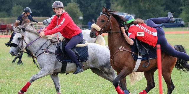 Viel Action auf und neben dem Pferderücken gab es am Sonntag in Avenches zu sehen. (Bild www.equus-helveticus.ch)