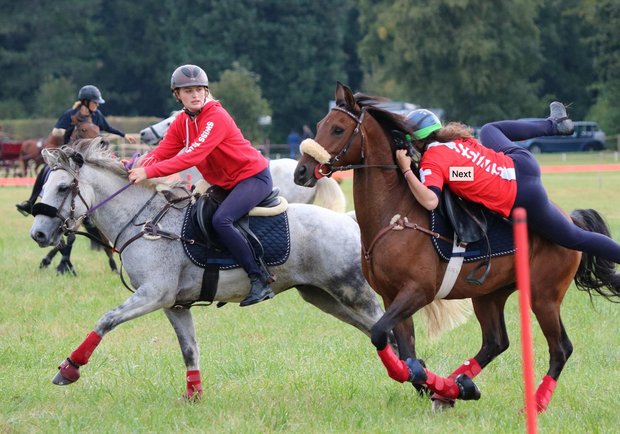 Viel Action auf und neben dem Pferderücken gab es am Sonntag in Avenches zu sehen. (Bild www.equus-helveticus.ch)