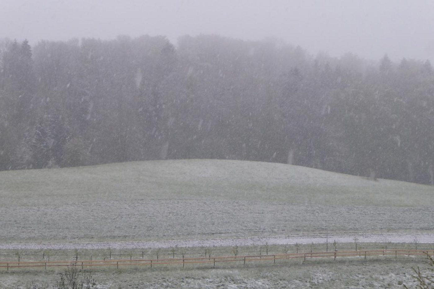 (Symbolbild Andreas Walker)