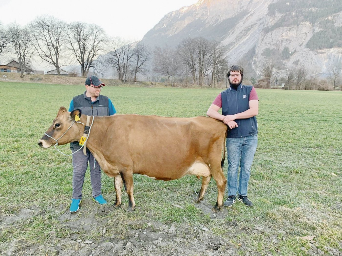Die siebeneinhalbjährige Flamme wird auf dem Betrieb der Stiftung Plankis in Chur von allen geliebt. (Bild Johann Ulrich Salis)