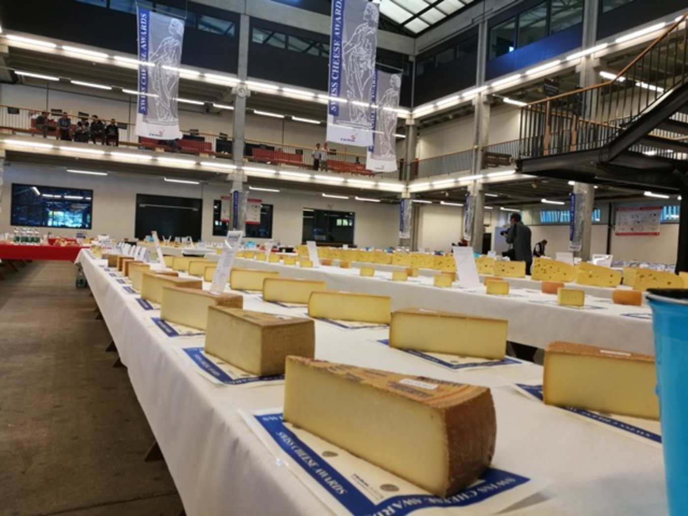 Da ist Appetit gefragt: Schier endlos wirkende Tischreihen voller Käse warten auf die Juroren. (Bilder hja) 