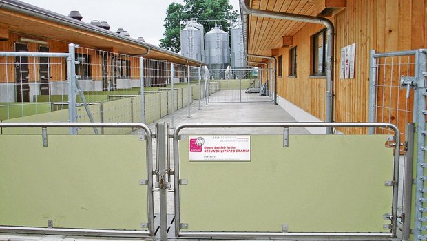 Schweizer Schweinehalter haben nichts zu verbergen. Trotzdem haben Unbefugte im Stall nichts zu suchen – aus sanitarischer, aber auch aus der Sicht des Tierschutzes.(Bild Suisag)