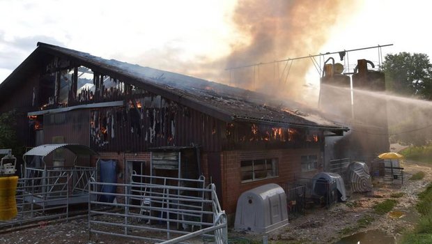 Der Stall in Kleinlützel SO stand am Mittwochmorgen in Flammen. Das Feuer konnte gelöscht die Tiere in Sicherheit gebracht werden. (Bild Kantonspolizei Solothurn)