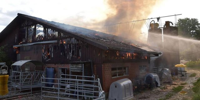 Der Stall in Kleinlützel SO stand am Mittwochmorgen in Flammen. Das Feuer konnte gelöscht die Tiere in Sicherheit gebracht werden. (Bild Kantonspolizei Solothurn)