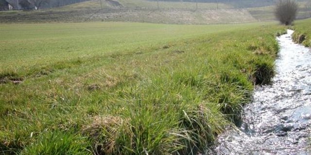 Der Bund und die Kantone haben das Vorgehen bezüglich Ausscheidung der Gewässerräume festgelegt: «Die Kantone stehen hinter der Kompromisslösung», steht im heute verschickten Communiqué des Bundesamts für Umwelt (BAFU). (Bild: BauZ)