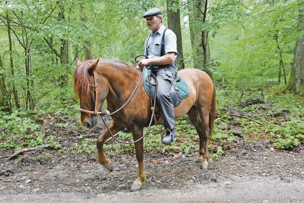 Oskar Saxer, ehemaliger MIlitaryreiter, ist begeistert vom feinen Gang der Paso-Fino-Pferde.