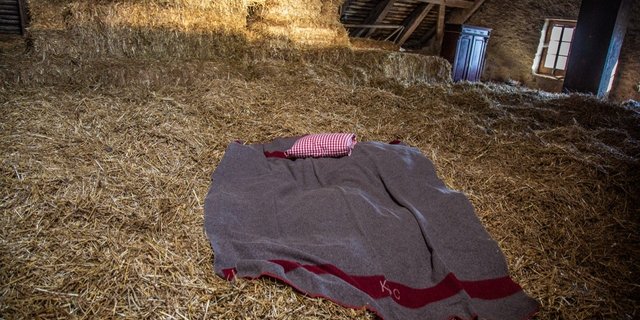 Angebote wie «Schlafen im Stroh» schaffen viel Goodwill bei der nicht-landwirtschaftlichen Bevölkerung. Bild: Pia Neuenschwander