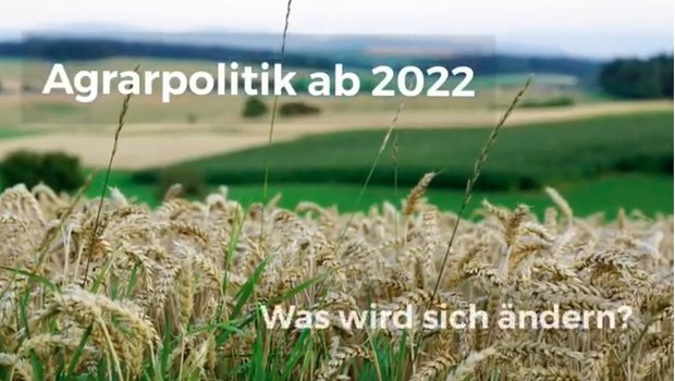 Die Filme sollen über die Änderungen in der Agrarpolitik aufklären. (Bild Youtube BLW)