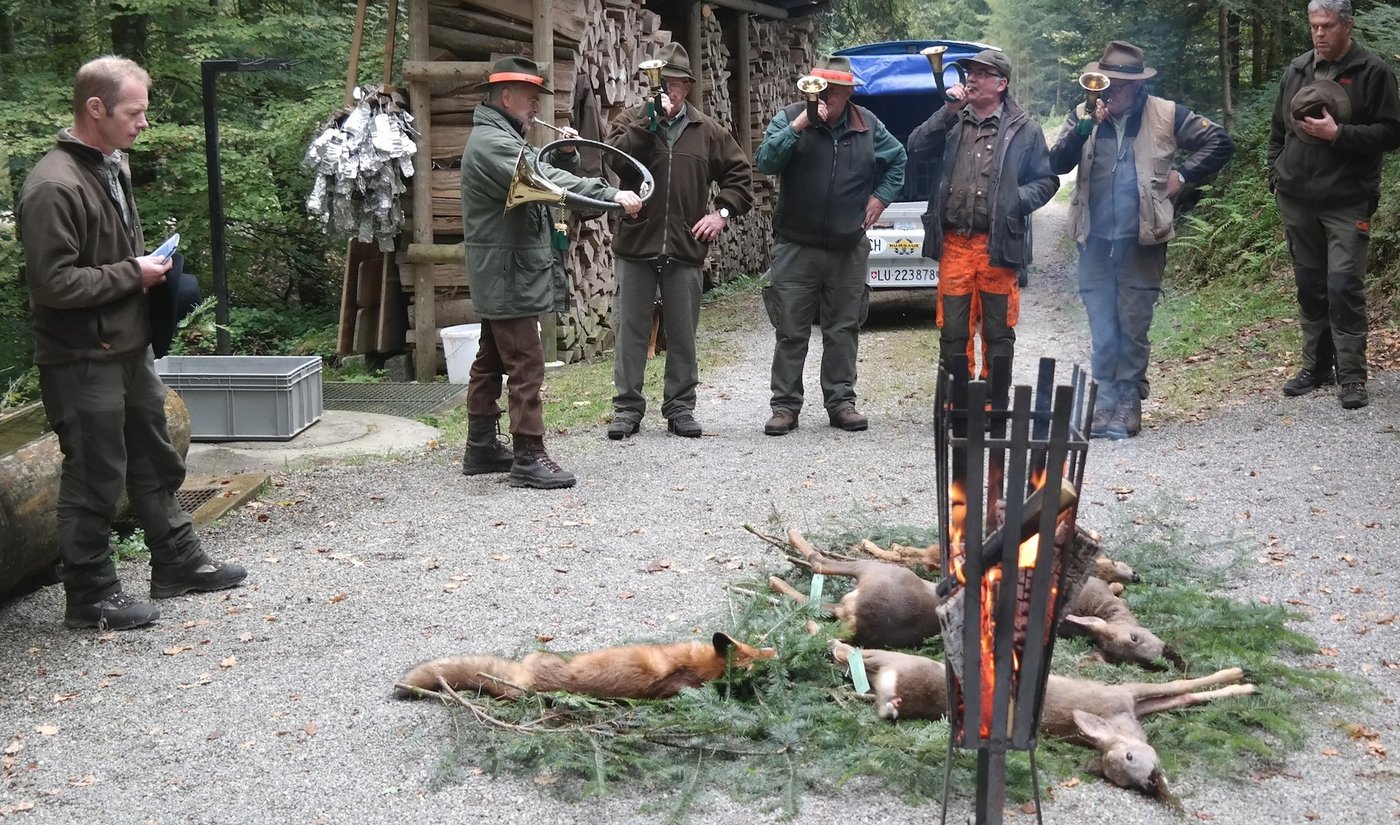 Die Strecke im Revier Santenberg wird verblasen. Links Jagdleiter Beni Wirz, ganz rechts Jagdobmann Josef Achermann. (Bild Josef Kottmann)