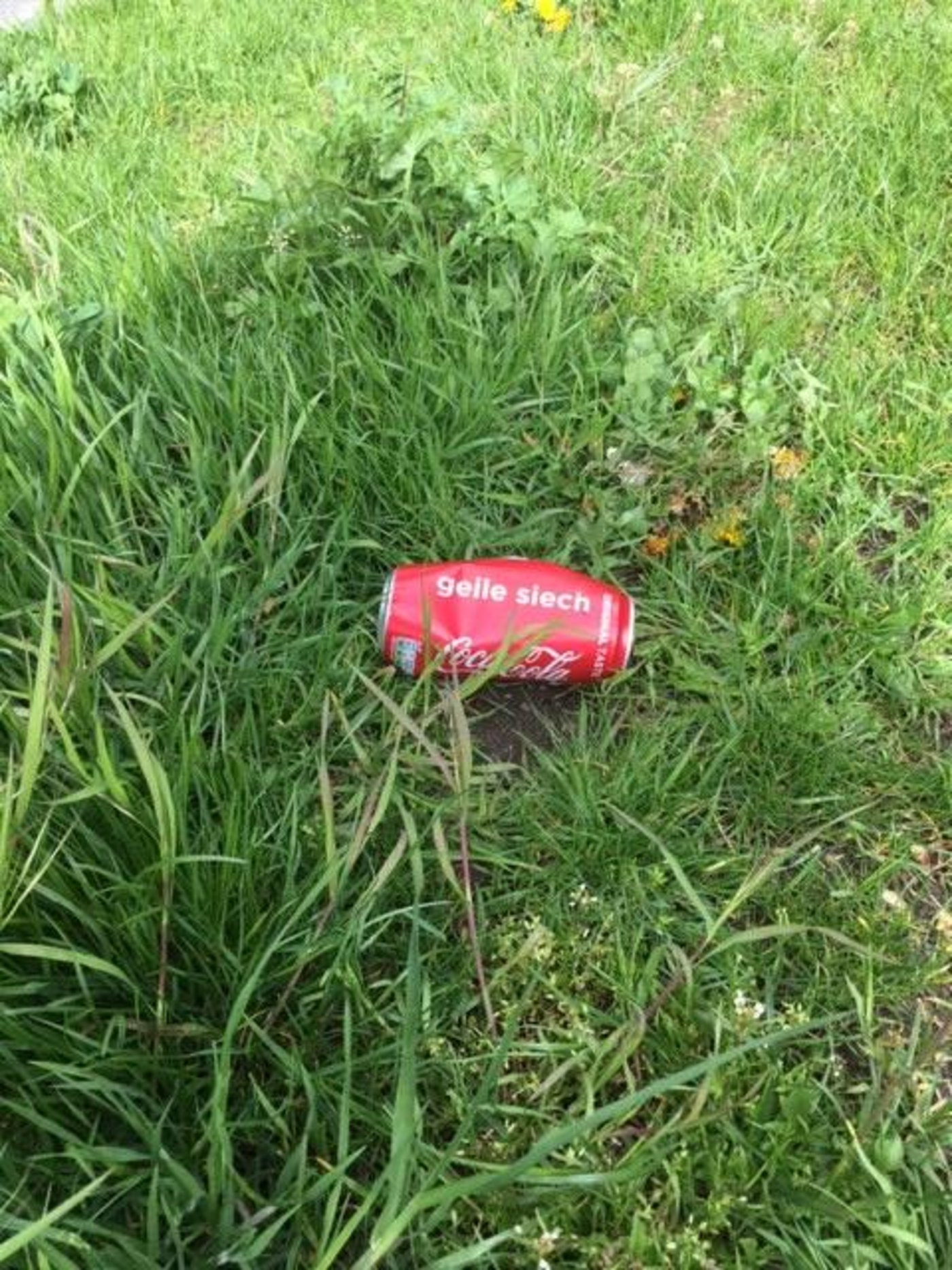 Littering ist gar nicht geil, sondern eine Gefahr für weidende Tiere und eine mögliche Quelle von Mikroplastik. (Bild jsc)