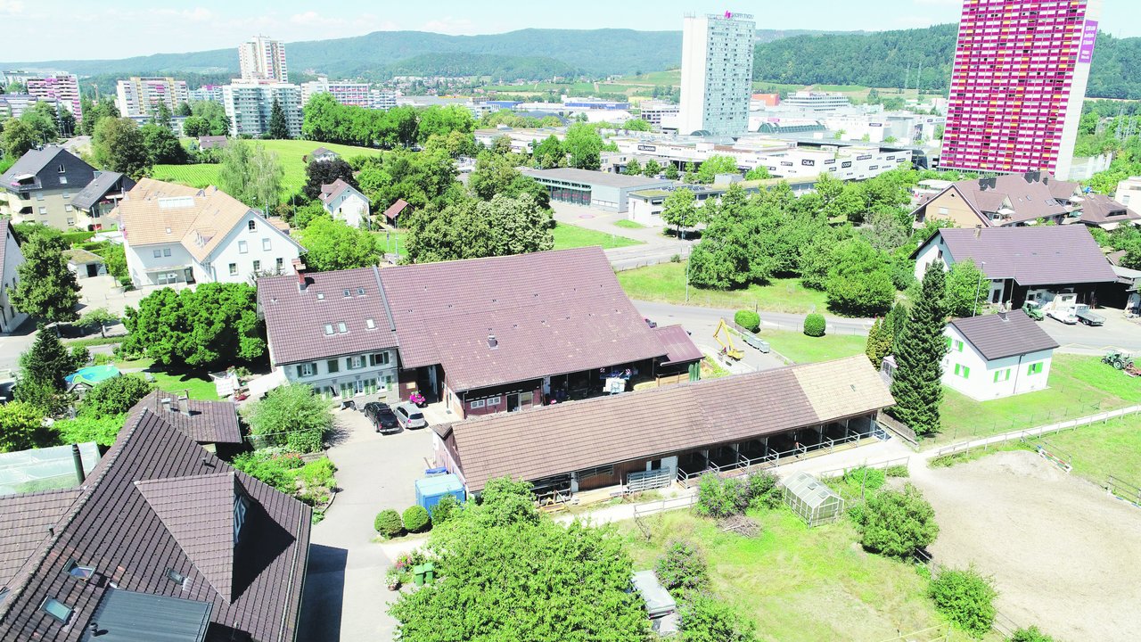 Der Betrieb von Familie Lienberger in Spreitenbach: Hinter der grünen Oase beginnt die Stadt. (Drohnenbild Reto Lienberger)