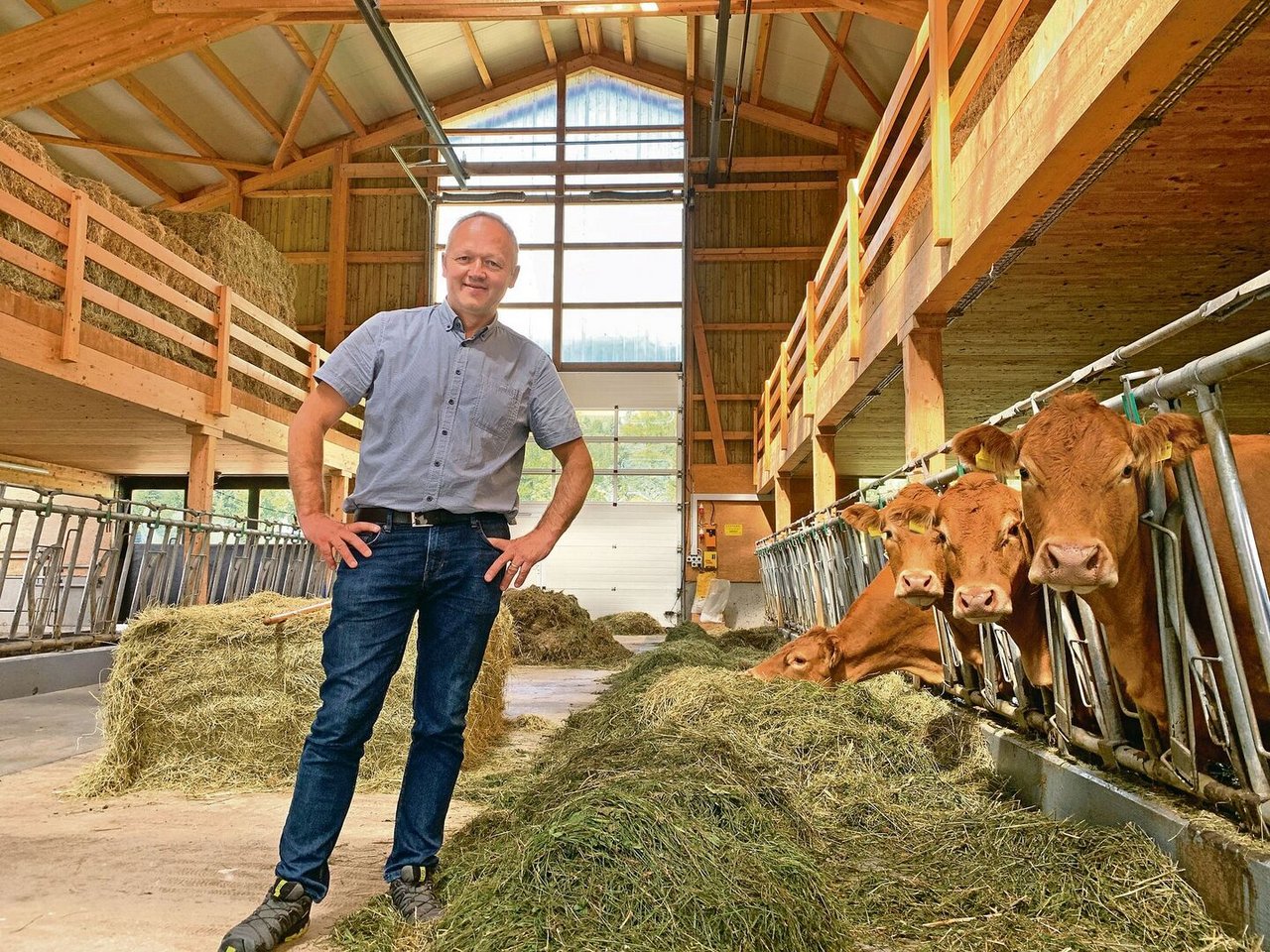 Wendelin Emmenegger in der vor rund sechs Jahren gebauten Scheune mit den Limousin-Mutterkühen.