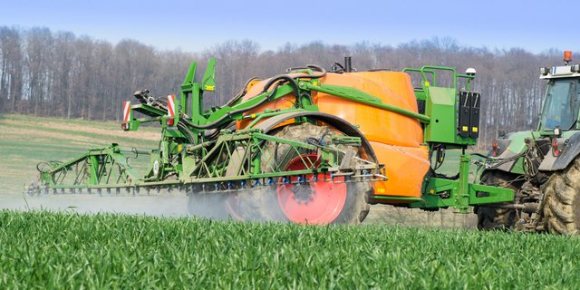 Das WBF hat 22 Wirkstoffe aus dem Pflanzenschutzmittelverzeichnis gestrichen. Darunter auch Chlorpropham (CIPC), das als Keimhemmer bei den Kartoffeln eingesetzt wird. (Bild AdobeStock)