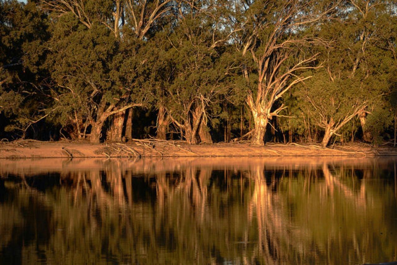 Der Murray River gehört zum Flusssystem Murray-Darling-Becken. In diesem Gebiet müssen die Flüsse, wegen grosser Hitze zur Zeit belüftet werden. (Flickr/Chris Fithall)