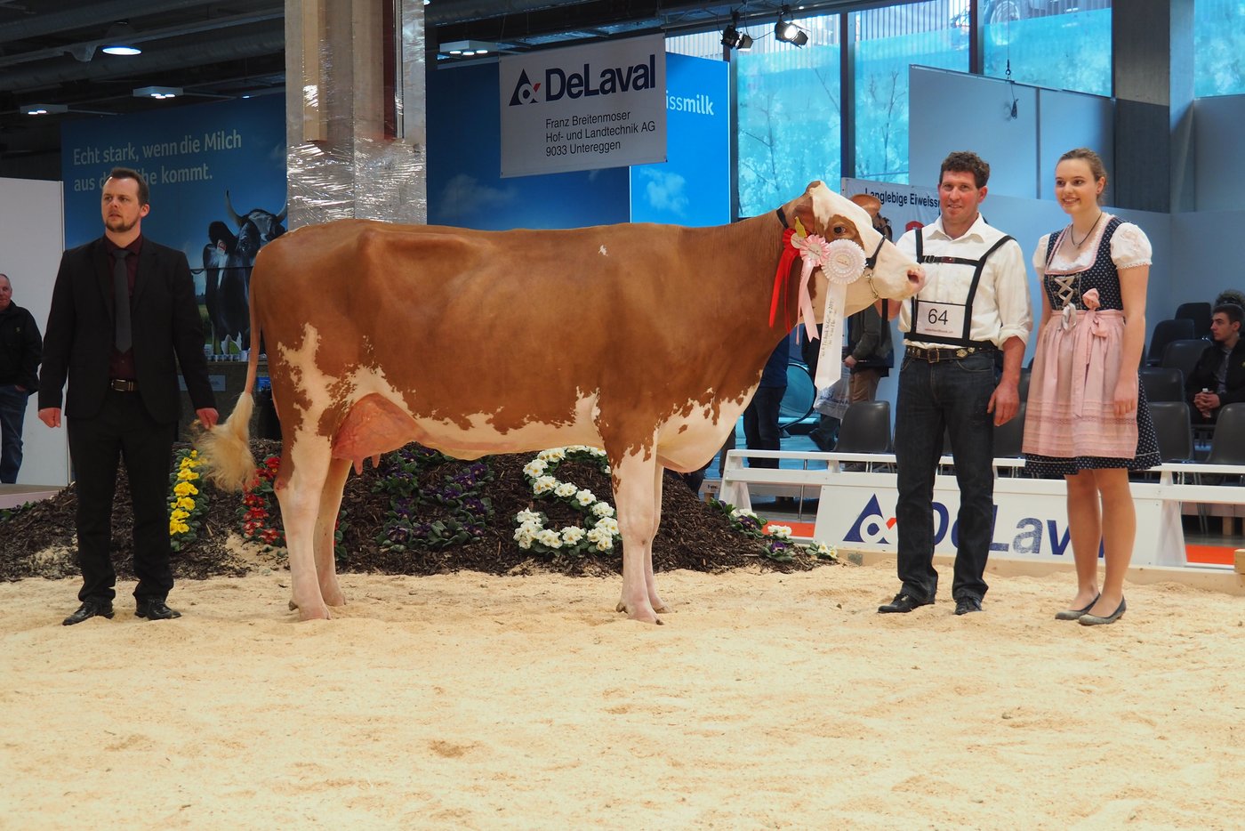 Den Championtitel beim Swiss Fleckvieh holte sich die 4-jährige Dekan-Tochter Baccara von Mathias Rüegg aus Uznach SG.