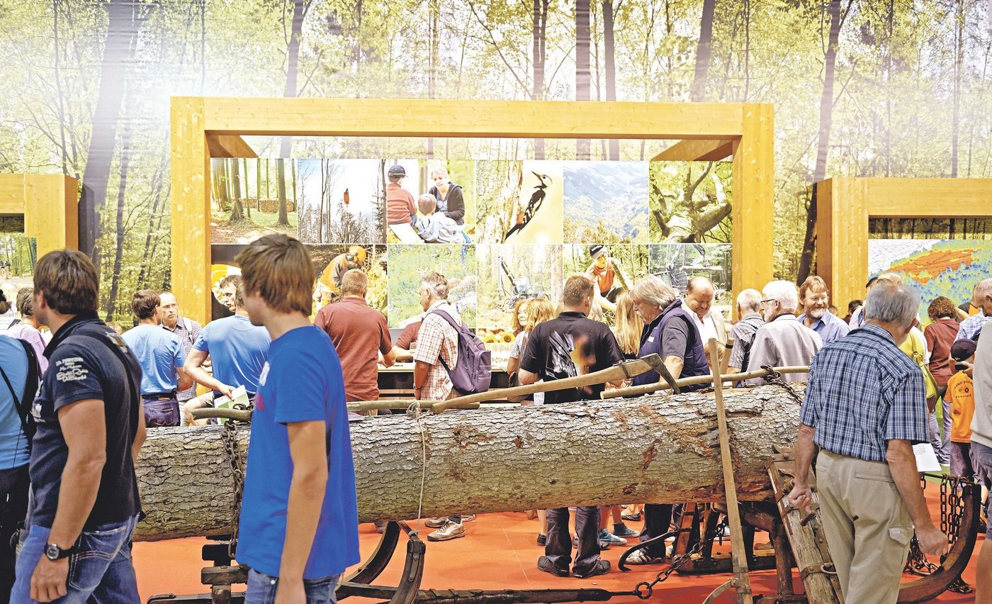 Die Besucher dürfen sich wiederum auf viele Höhepunkte freuen. (Bild zVg)