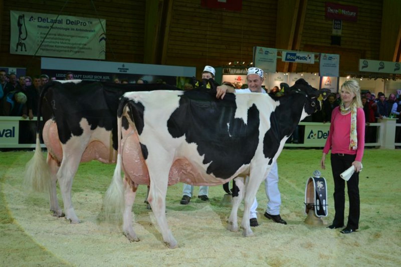 Schöneuter (rechts): Ptit Coeur Affirmed Medecina, Marc und Erhard Junker, Iffwil / Reserve Schöneuter: Braedale Pagewire Delicieuse, Alex Gobeli, Saanen