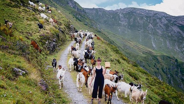 Marlene Kelnreiter verbringt den Sommer gemeinsam mit über 300 Ziegen auf der Alp Malschüel hoch über dem Rheintal.