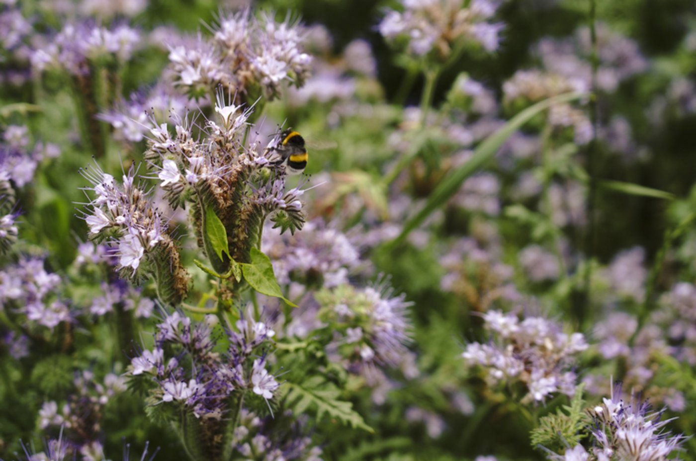 ... und zeigt Wirkung.