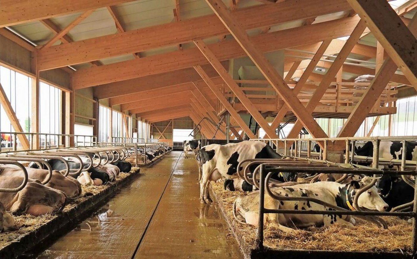 Die ältere Generation hat einige Jahre vor der Hofübergabe zum Teil den Vorteil, dass die Fremdkapitalbelastung deutlich tiefer ist. Das gibt Luft, um neue Projekte zu finanzieren. Aber es hat auch eine Kehrseite.