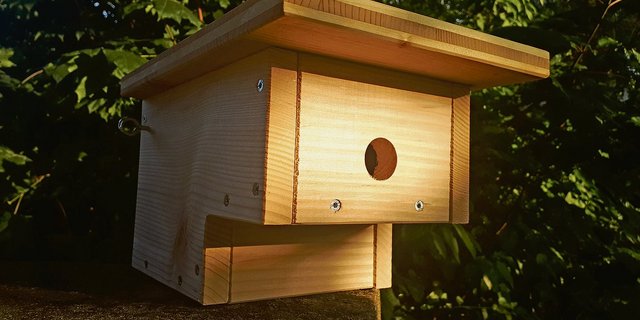 Ein Meisenkasten nach neuer Bauweise. Die Brut ist durch die Vertiefung noch besser vor Räubern geschützt.(Bild sb)