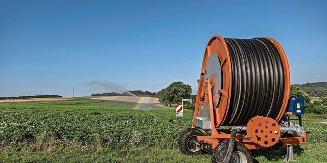 In Kleinguschelmuth FR baut David Perler Saat- und Industriekartoffeln an. Die Bewässerung sichert ihm den Ertrag.