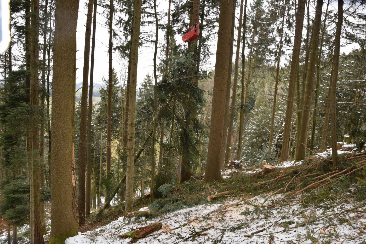 Eine gefährliche Arbeit: Hier holt eine Seilwinde ein Baum aus dem Tobel.