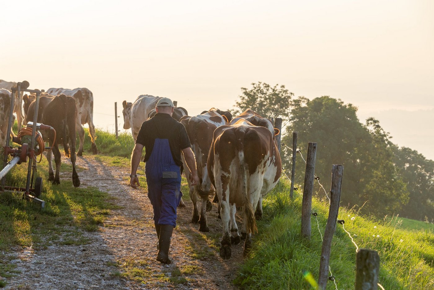 Das anfängliche Bild der idyllischen Schweizer Landwirtschaft begann zu verschwimmen. Ecken und Kanten kamen hinzu, doch die Herzlichkeit blieb. (Bild Hansjürg Jäger)